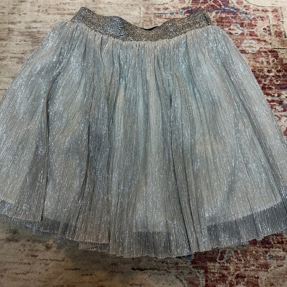 Pastourelle by Pipa & Julie- Kids Girls Silver Skirt Size 6x In Great Shape!!